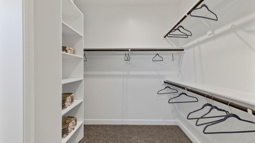 134 RINGTRAIL Drive - Photo 20