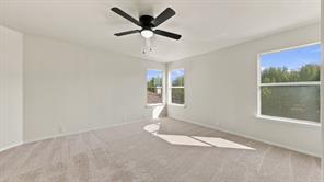 7007 Bridlewood Drive - Photo 17