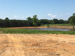 TBD Falcon View - Photo 4