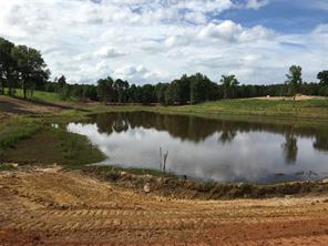 TBD Falcon View - Photo 6