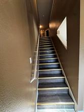 3826 Irish Setter Drive - Photo 28