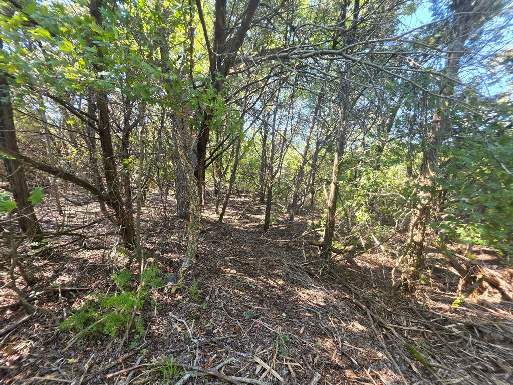 8556 Tuscany Hills Court - Photo 9