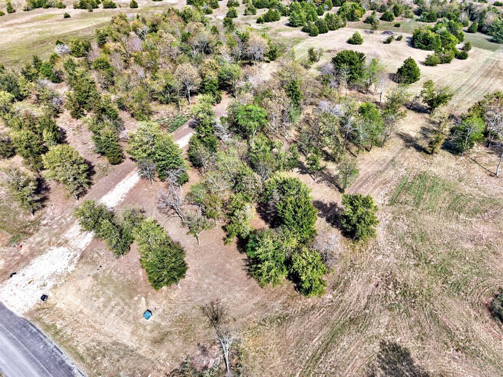 191 Lago Vista Drive - Photo 12