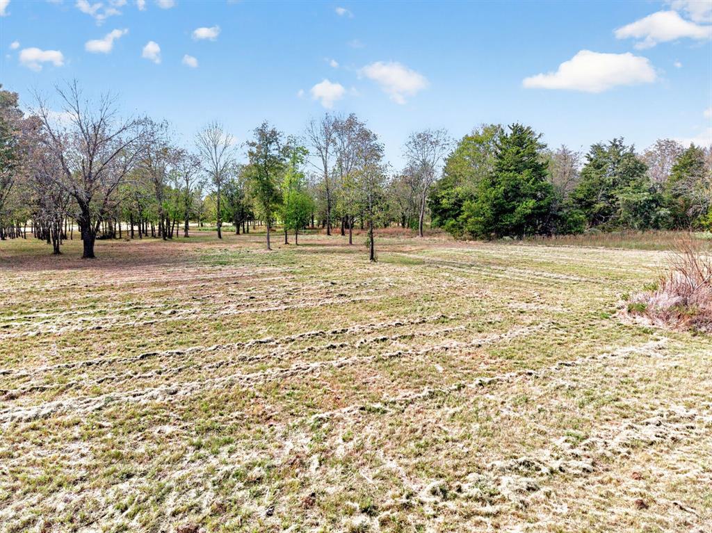191 Lago Vista Drive - Photo 7