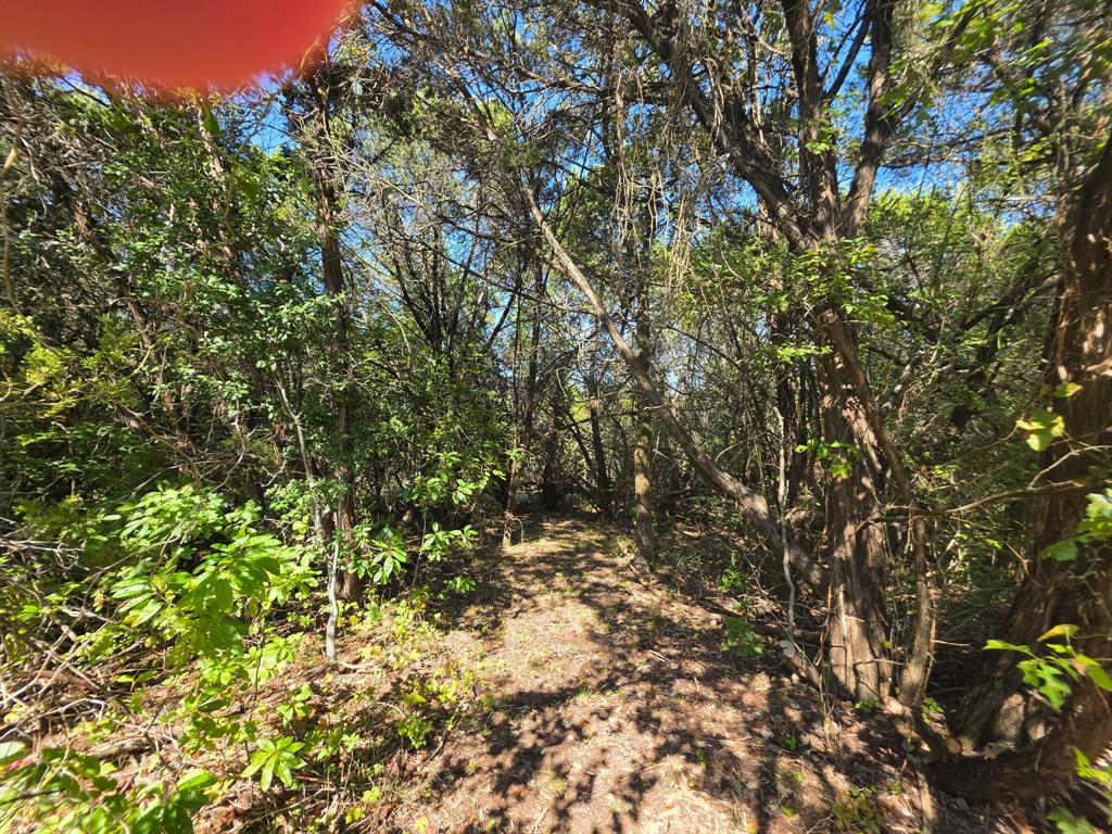 8560 Tuscany Hills Court - Photo 12