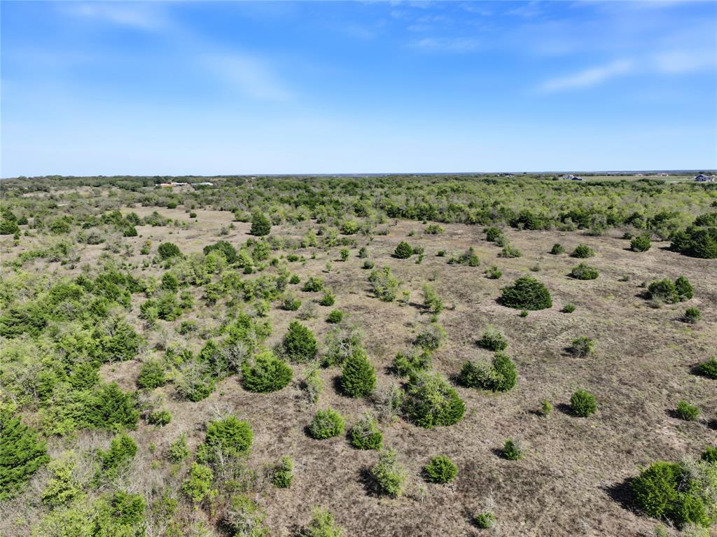 TBD Eddy-Gatesville Parkway - Photo 18