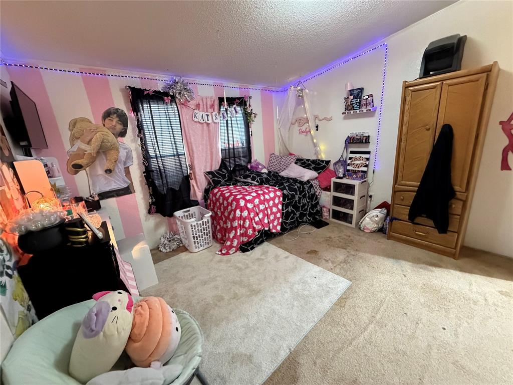 6691 County Road 223 - Photo 16