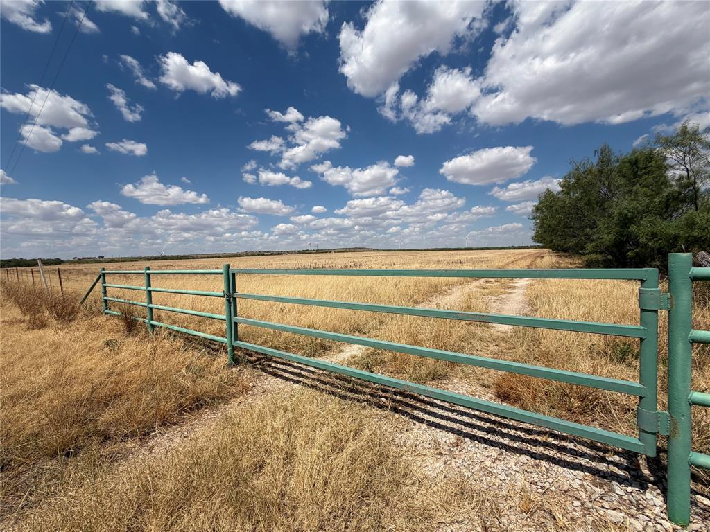 6691 County Road 223 - Photo 29
