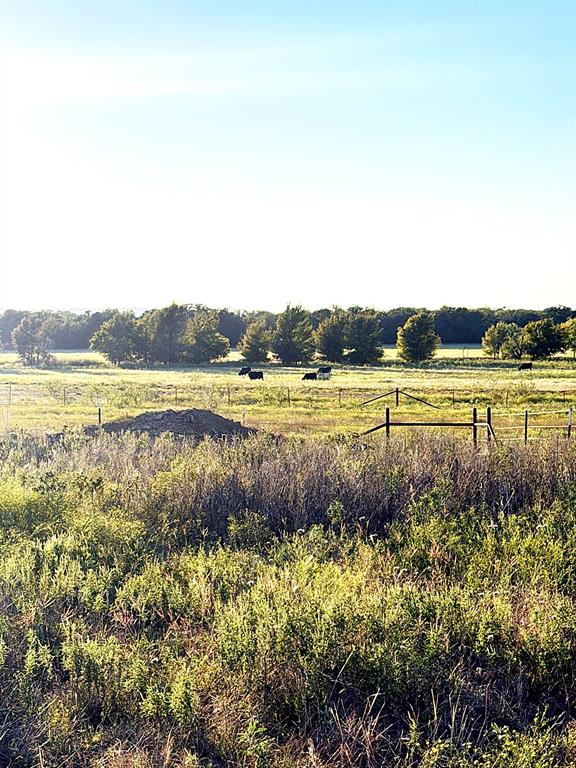 10189 County Road 120 - Photo 11