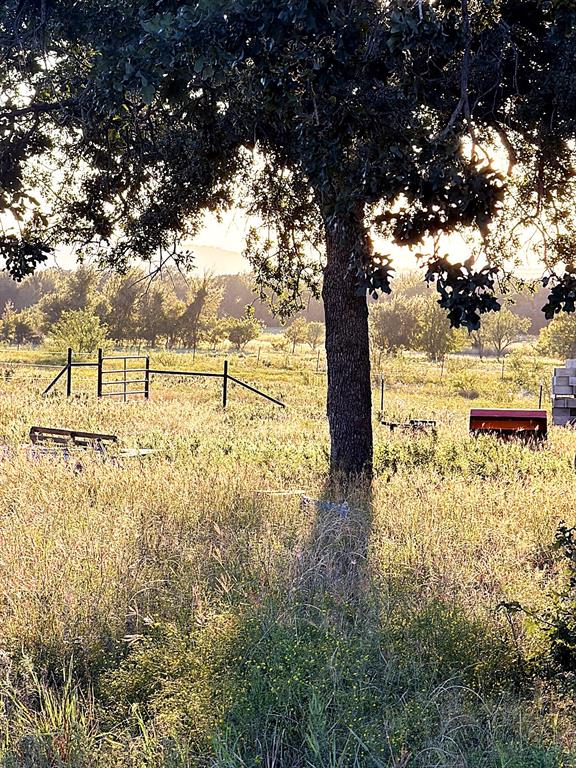10189 County Road 120 - Photo 29