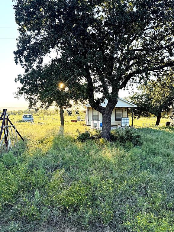 10189 County Road 120 - Photo 3