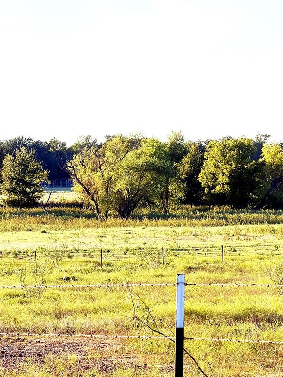 10189 County Road 120 - Photo 5