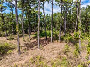 128 County Road 4849 - Photo 15