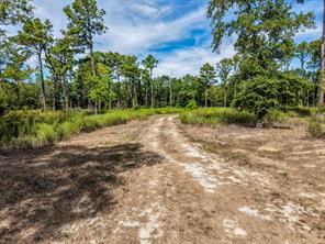 128 County Road 4849 - Photo 9