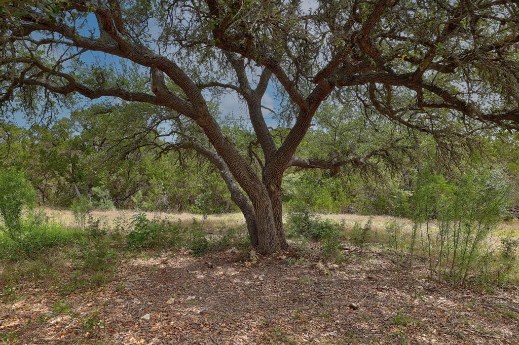 1400 Panther Creek Road - Photo 12