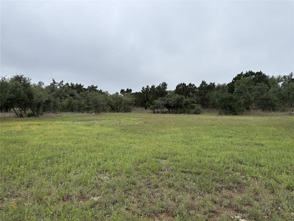 1400 Panther Creek Road - Photo 14