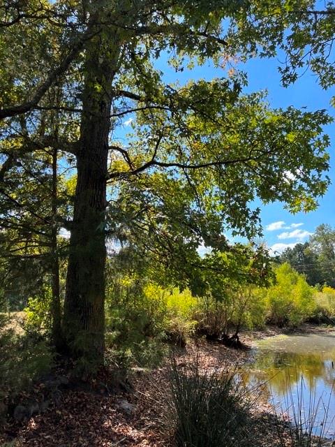 800 FM 312 - Photo 26
