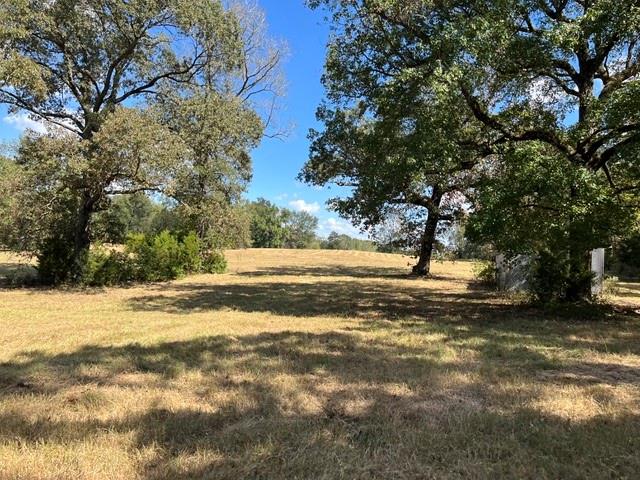 800 FM 312 - Photo 28