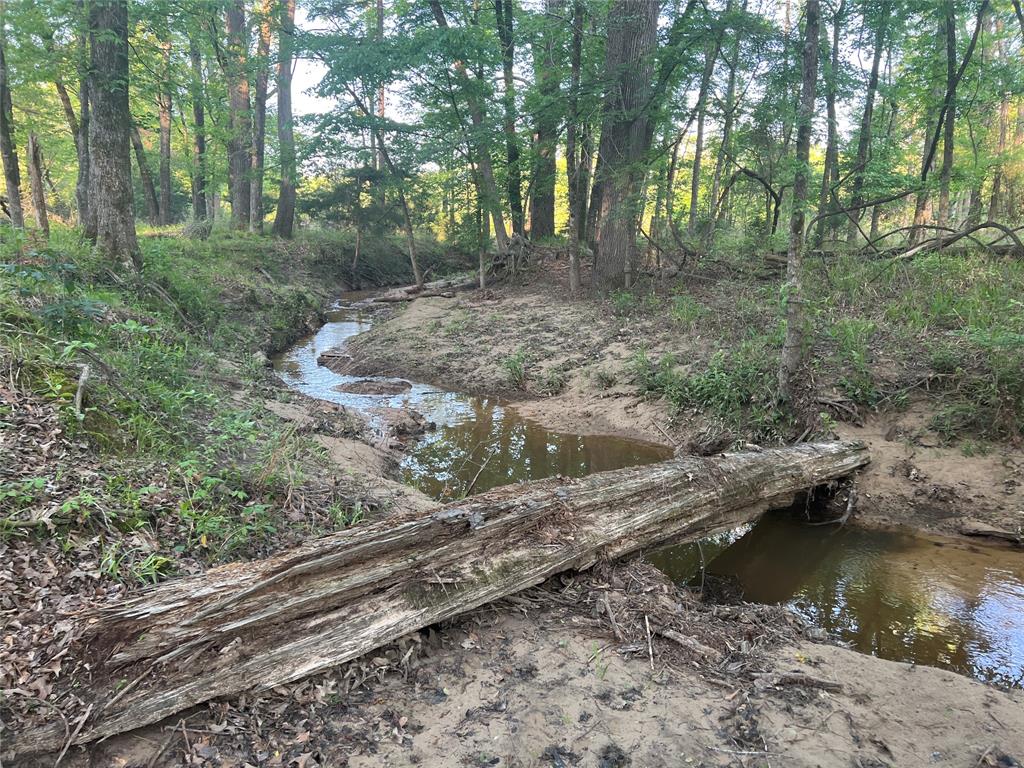 800 FM 312 - Photo 35