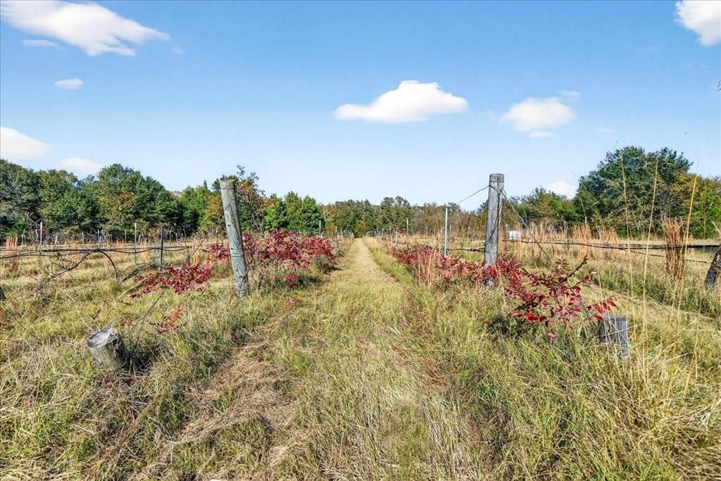 1603 Vz County Road 2908 - Photo 21
