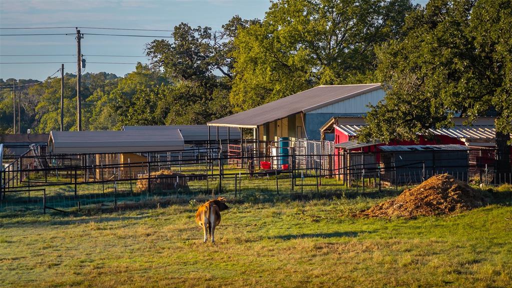 3559 Springfield Road - Photo 35