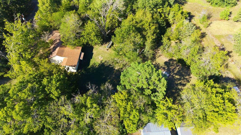 10823 Mallard Point - Photo 11