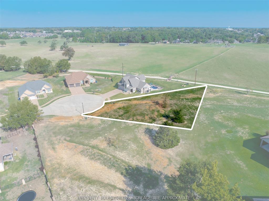 1401 Hannah Circle - Photo 1