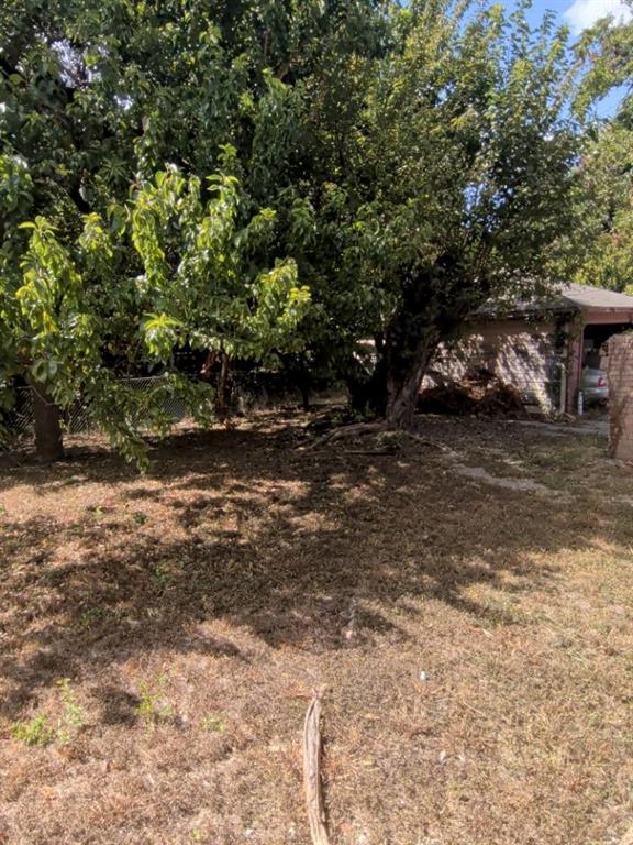 4909 Paloduro Lane - Photo 6