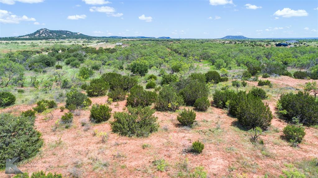 TBD County Road 175 - Photo 11