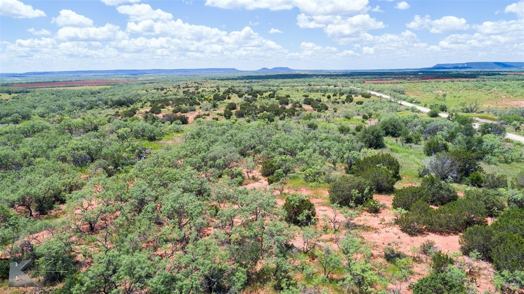 TBD County Road 175 - Photo 16