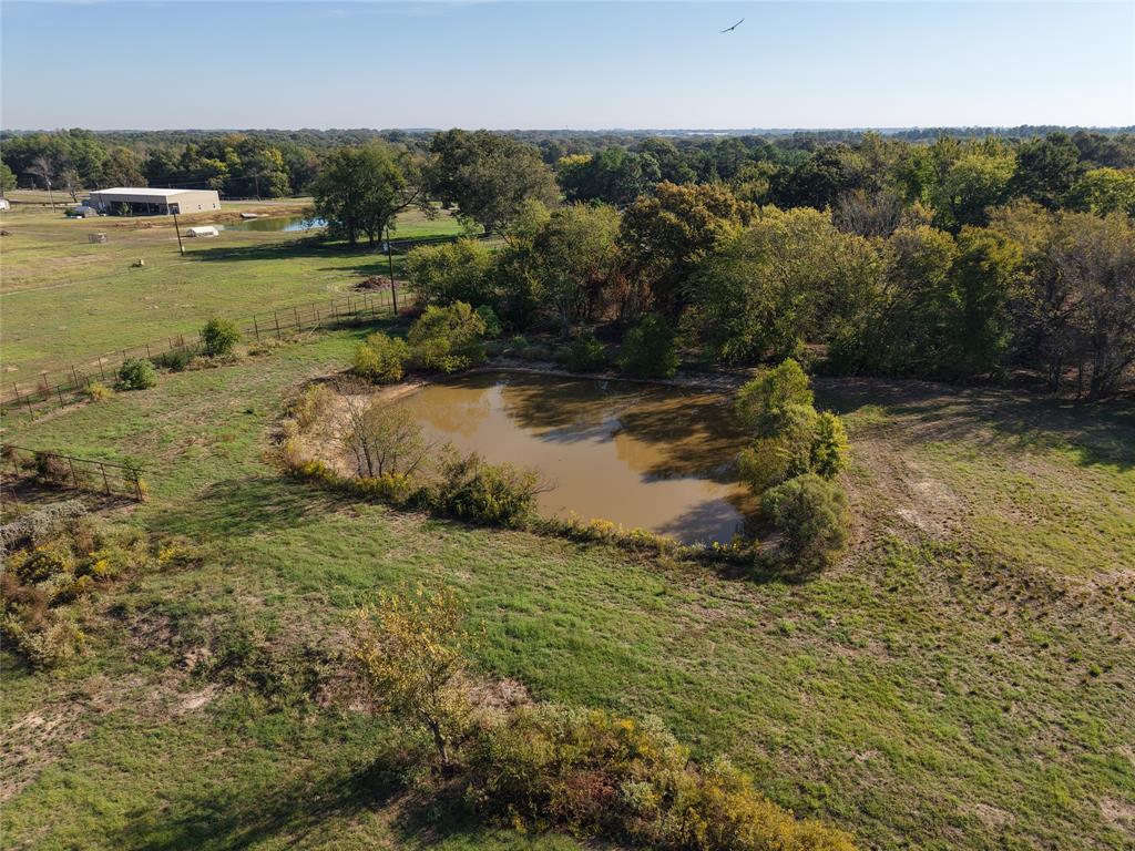 2430 Farm Road 2560 - Photo 36