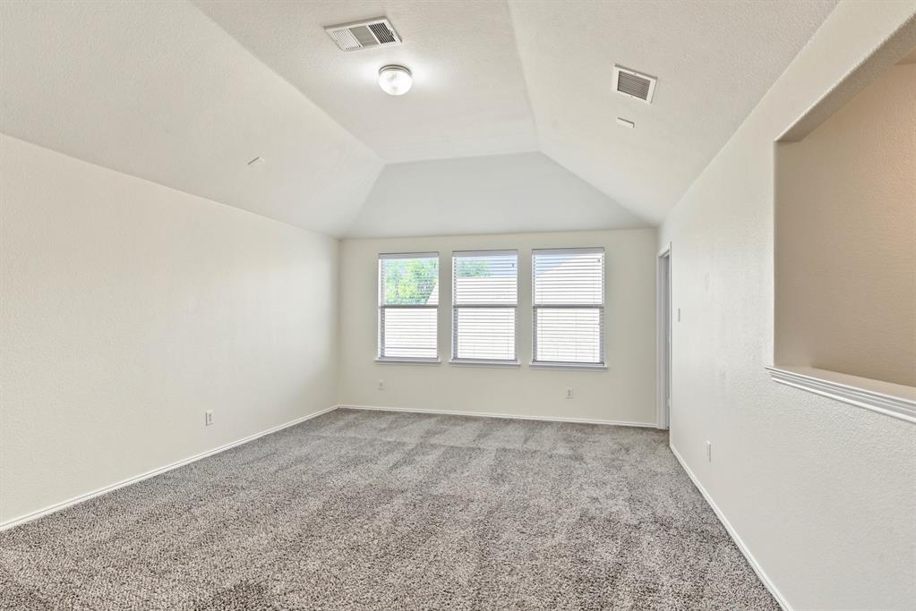 1308 Luckenbach Drive - Photo 21
