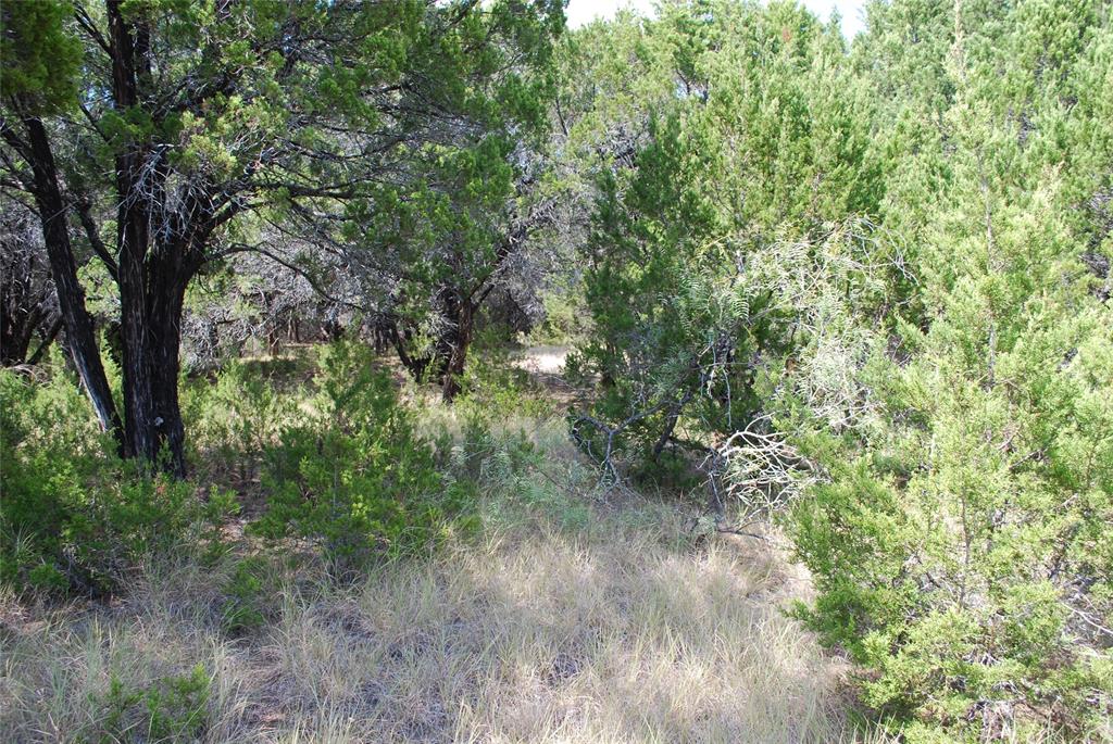 43009 Whisperwood Drive - Photo 3