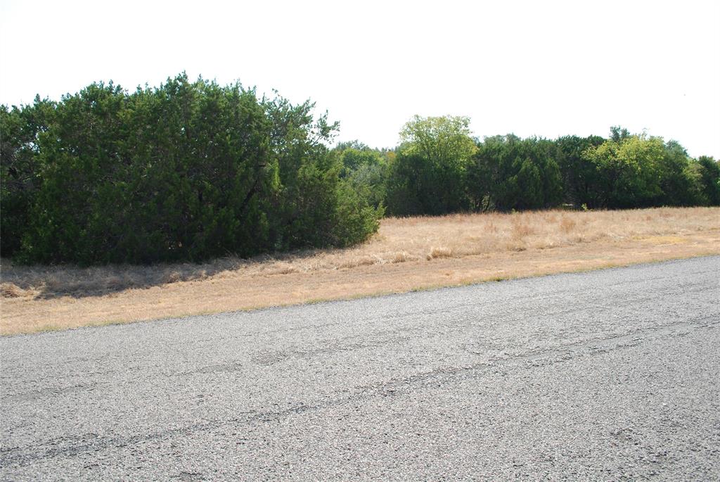 19064 White Bluff Drive - Photo 2