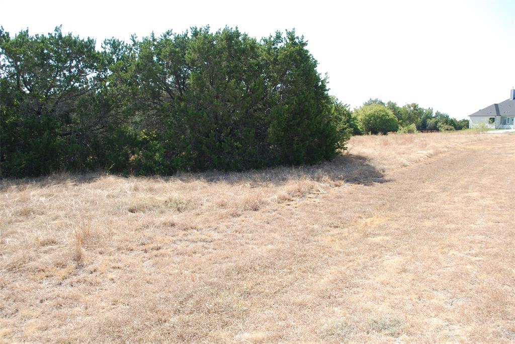 19064 White Bluff Drive - Photo 3
