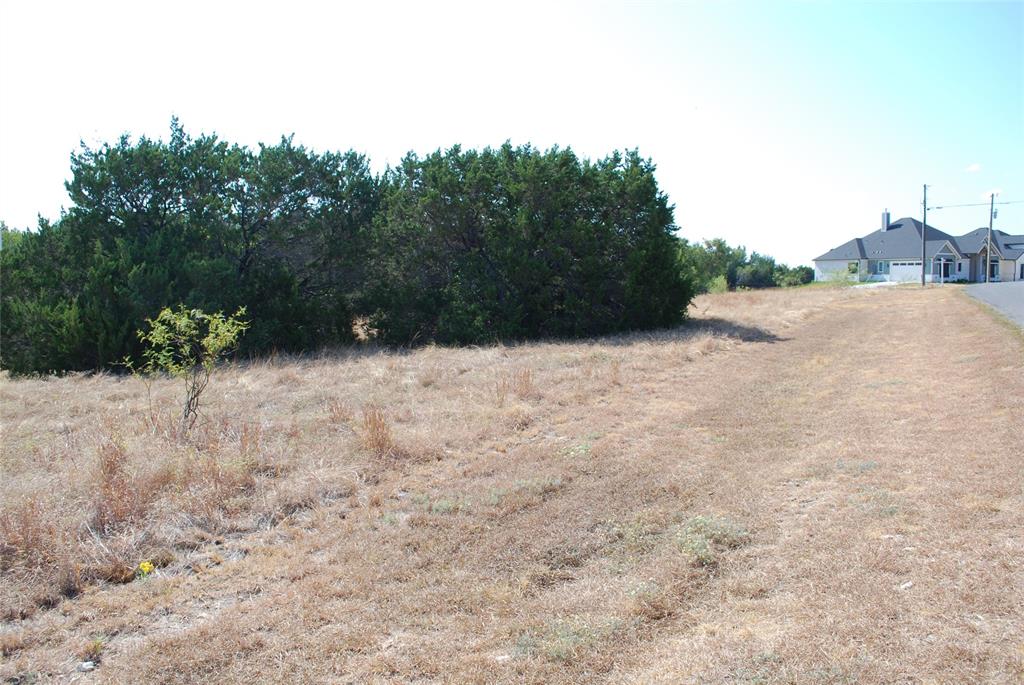 19064 White Bluff Drive - Photo 5