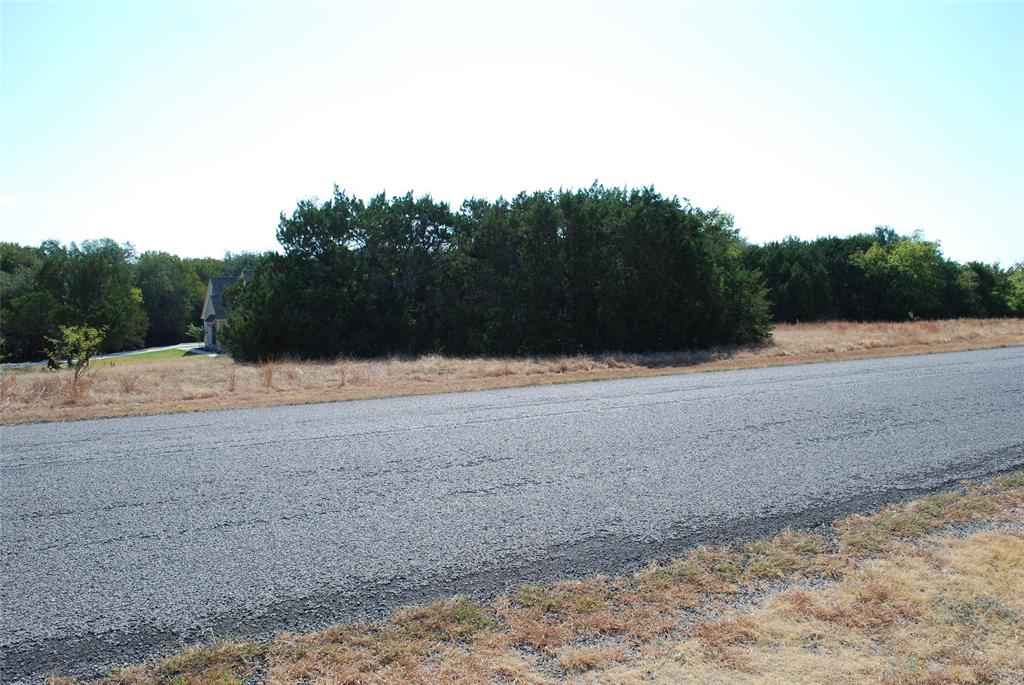 19064 White Bluff Drive - Photo 6