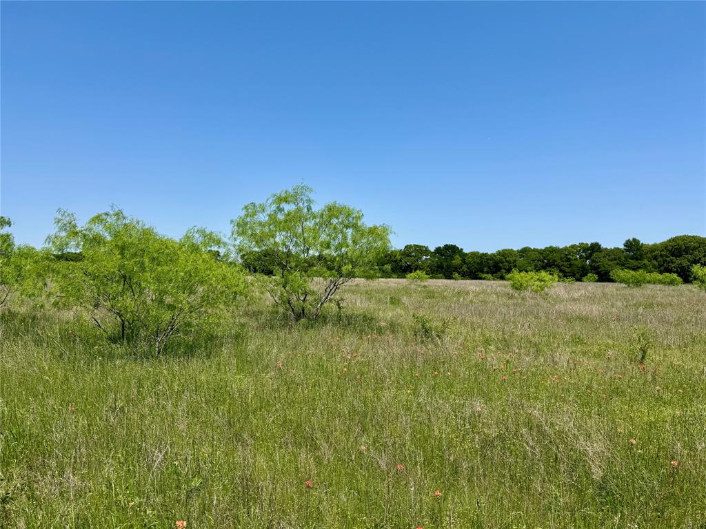 0 Clater Powell Road - Photo 5