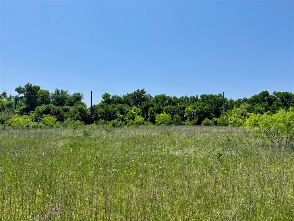 0 Clater Powell Road - Photo 6