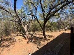 126 Lonesome Dove - Photo 24