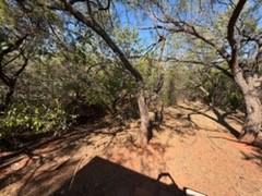 126 Lonesome Dove - Photo 25