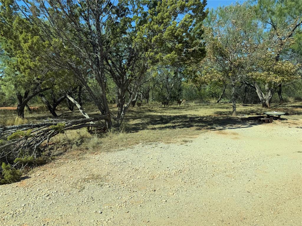 126 Lonesome Dove - Photo 3