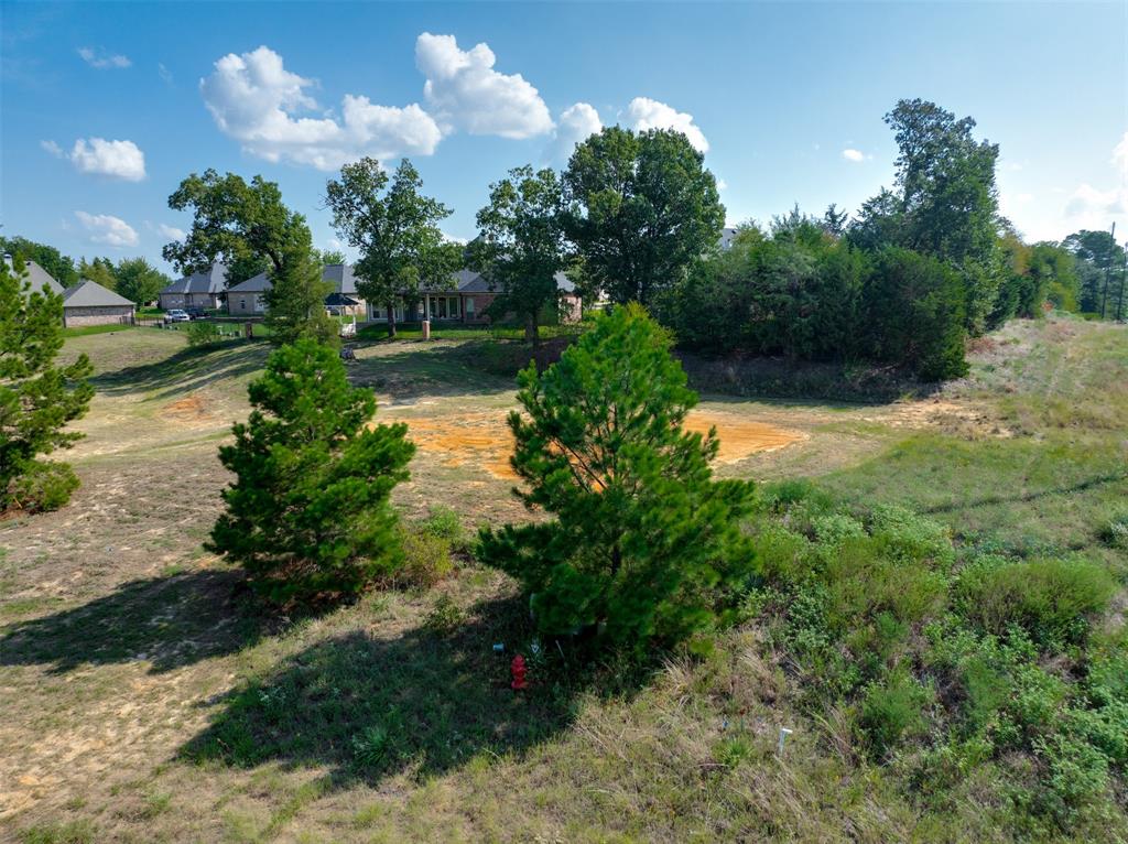 316 Colton Cove - Photo 4