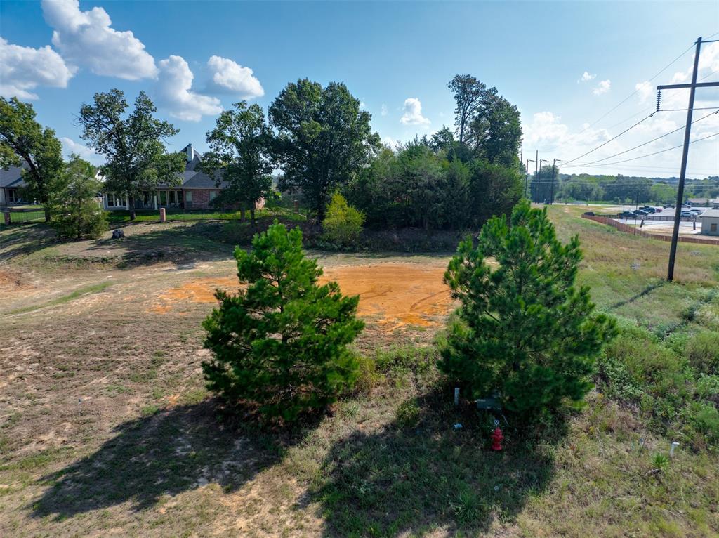 316 Colton Cove - Photo 9