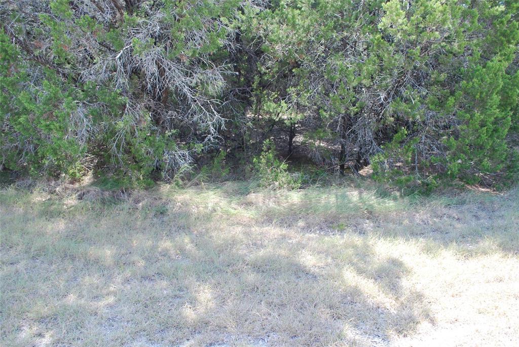 25063 Woodmont Drive - Photo 12