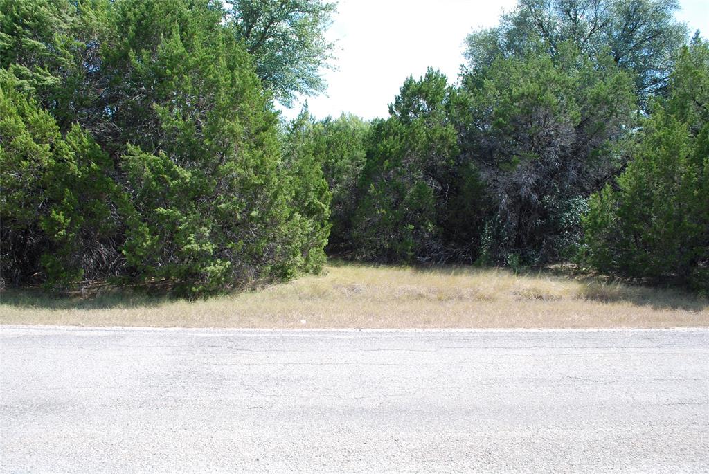 25063 Woodmont Drive - Photo 3