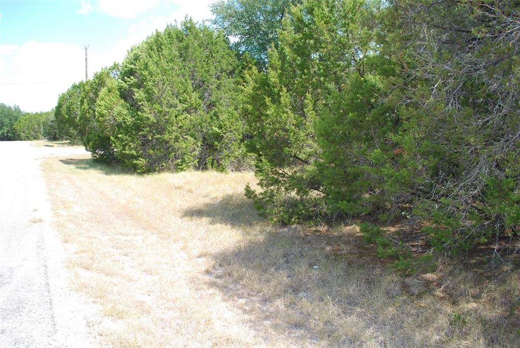 25063 Woodmont Drive - Photo 4