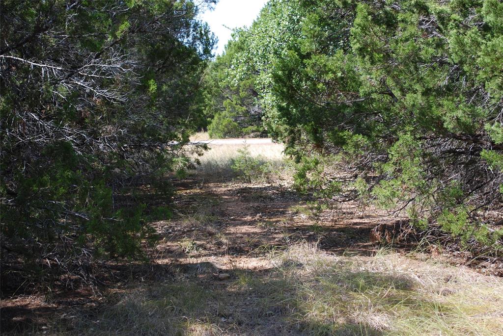 25063 Woodmont Drive - Photo 5