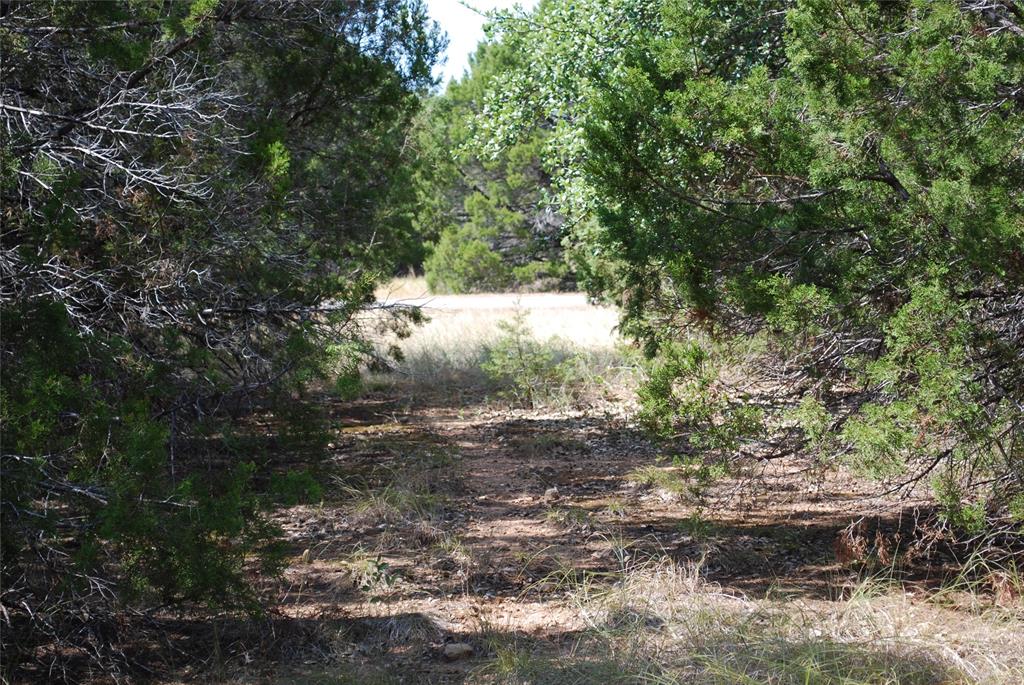 25063 Woodmont Drive - Photo 7