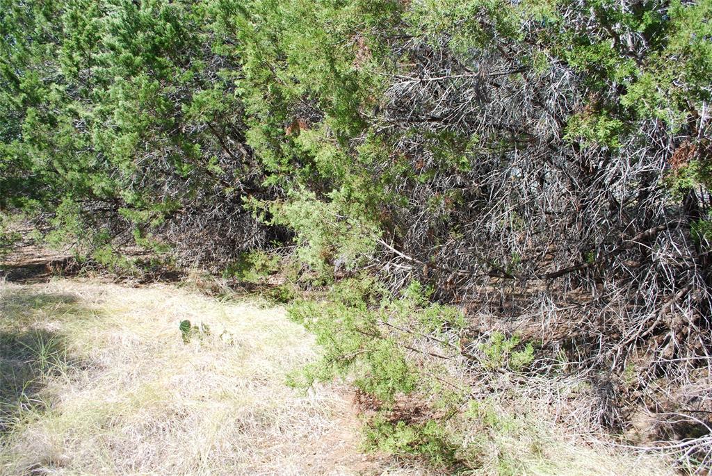 25063 Woodmont Drive - Photo 9